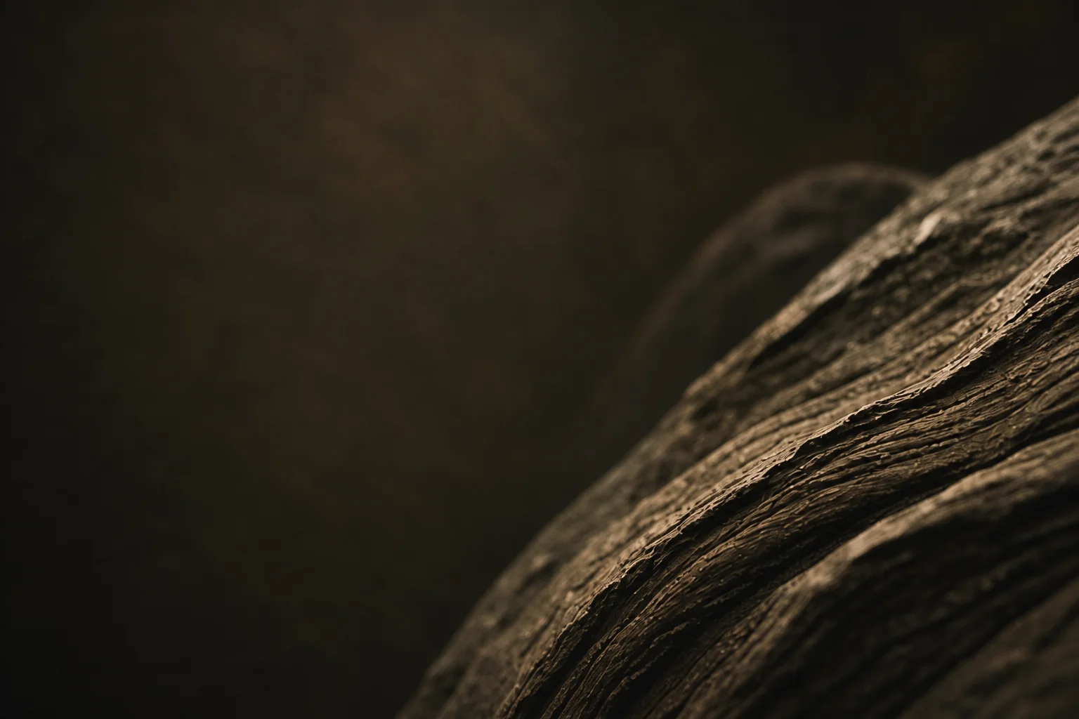 Wood photograph